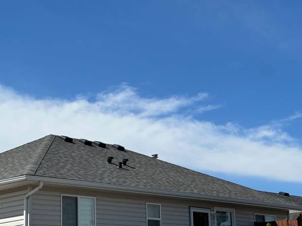 Fast & Reliable Emergency Roof Repairs in Flat Rock, NC